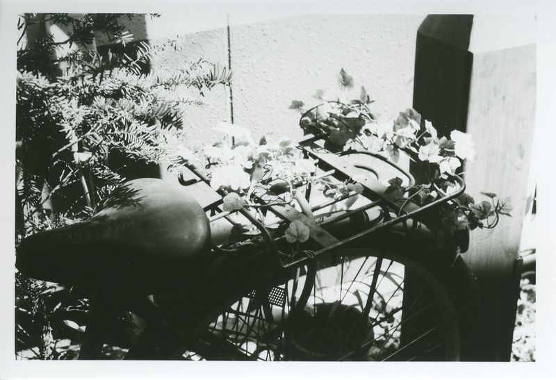 Matsumoto1