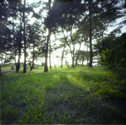 Pinhole12013