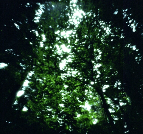 Pinhole_zushi1004_1